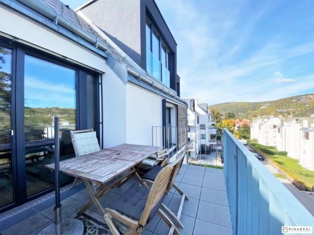 Wohnung kaufen in Mödling, Niederösterreich