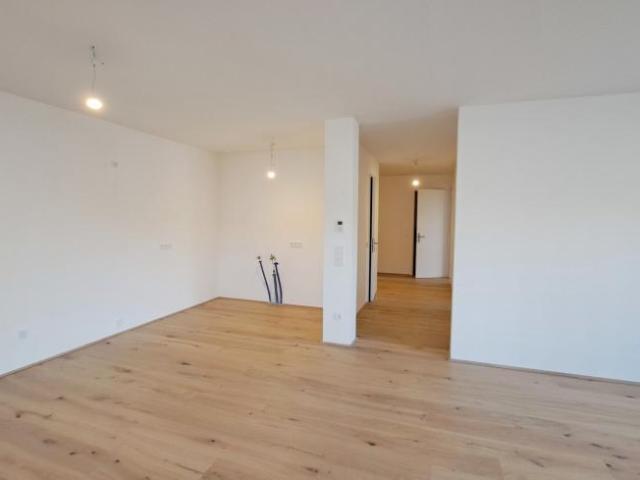 Wohnung kaufen in Bezirk Neusiedl am See, Burgenland