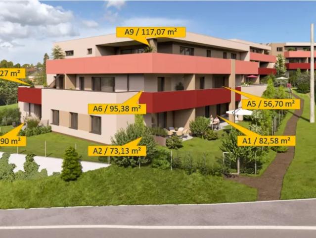 Wohnung kaufen in Peuerbach, Oberösterreich
