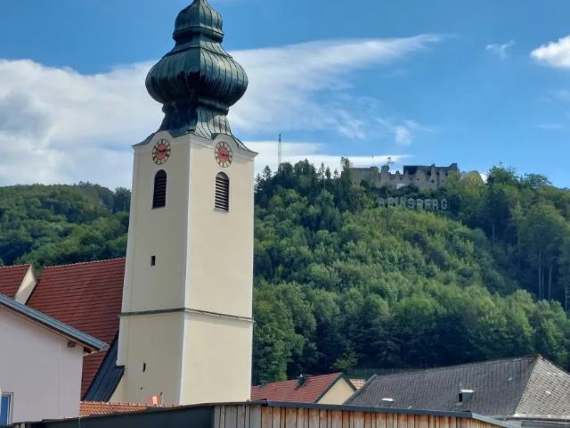 Wohnung kaufen in Katastralgemeinde Reinsberg, Reinsberg