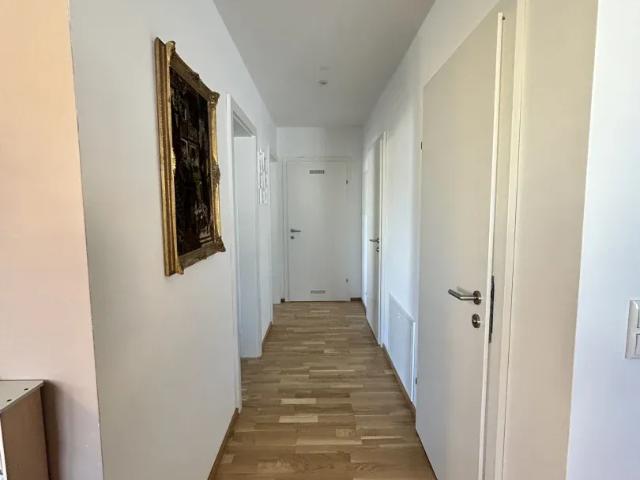 Wohnung kaufen in Ried im Innkreis, Bezirk Ried