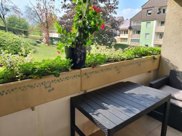 Wohnung kaufen in Katastralgemeinde Scheibbs, Scheibbs