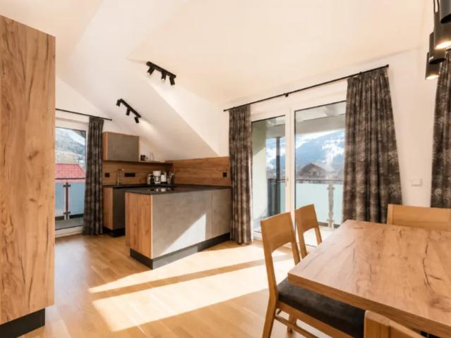 Wohnung kaufen in Unterwerk Schladming, Schladming