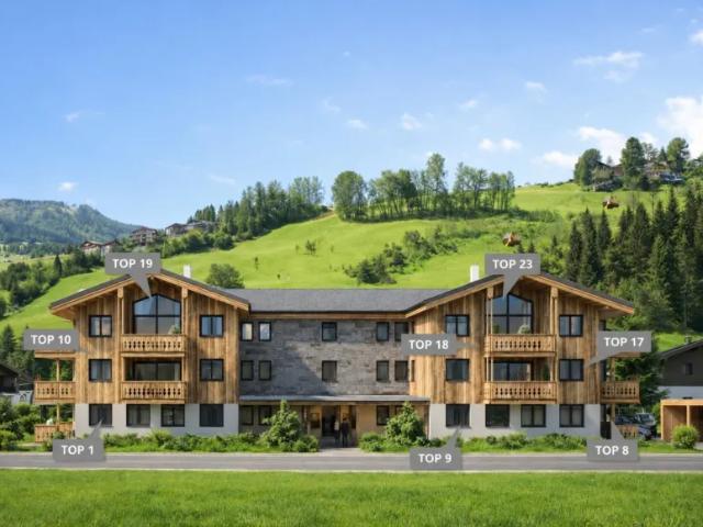 Wohnung kaufen in Unterwerk Schladming, Schladming