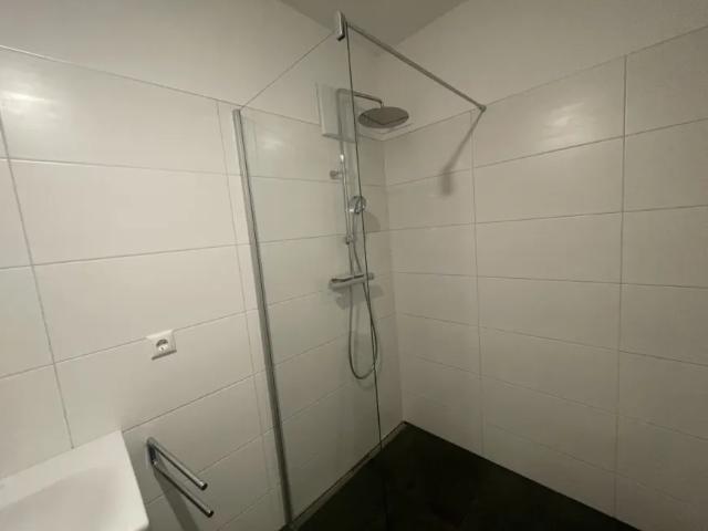 Wohnung kaufen in Schwanenstadt, Oberösterreich