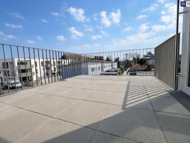 Wohnung kaufen in Schwechat, Niederösterreich
