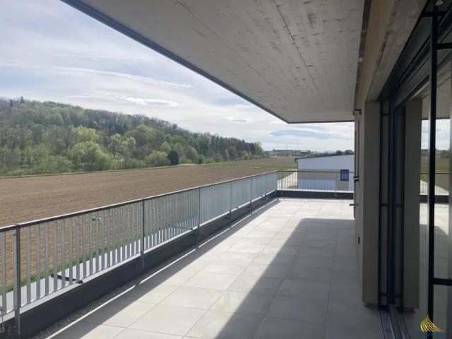 Wohnung kaufen in St. Pantaleon, Niederösterreich