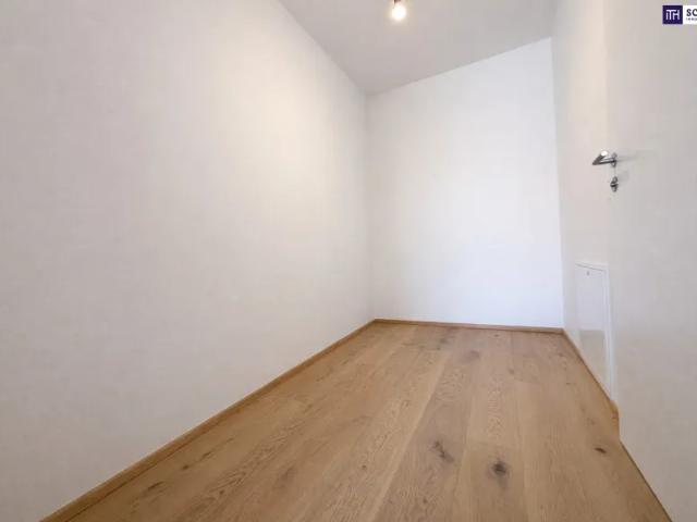 Wohnung kaufen in Katastralgemeinde Traiskirchen, Traiskirchen