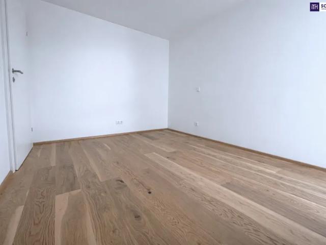 Wohnung kaufen in Katastralgemeinde Traiskirchen, Traiskirchen