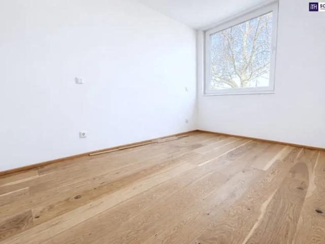 Wohnung kaufen in Katastralgemeinde Traiskirchen, Traiskirchen