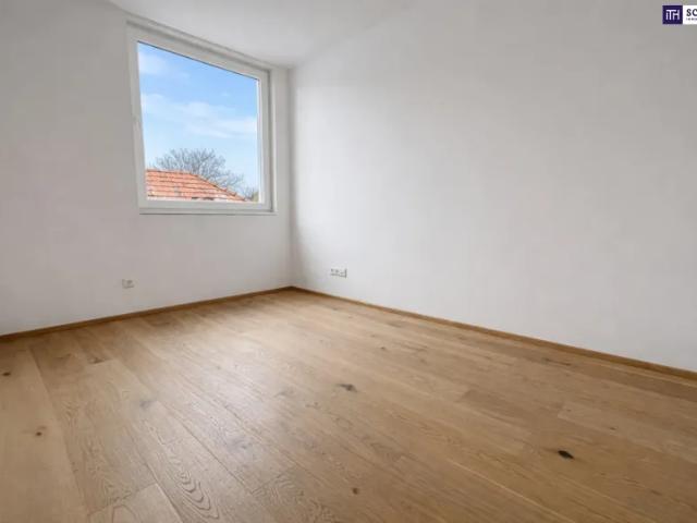 Wohnung kaufen in Katastralgemeinde Traiskirchen, Traiskirchen