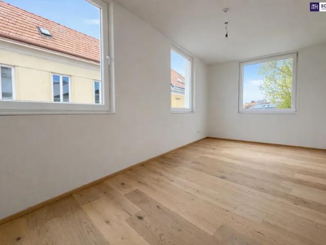 Wohnung kaufen in Katastralgemeinde Traiskirchen, Traiskirchen