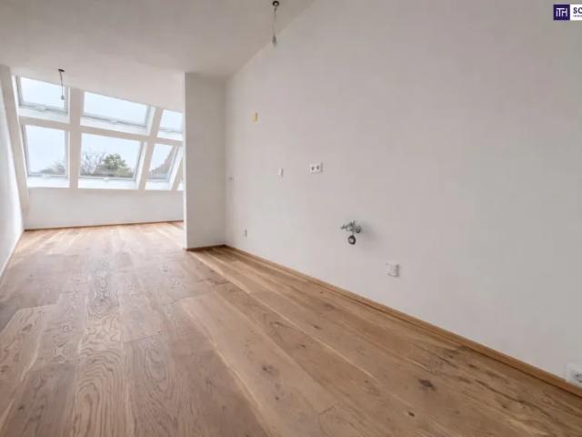 Wohnung kaufen in Katastralgemeinde Traiskirchen, Traiskirchen
