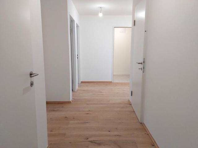 Wohnung kaufen in Groß, Hollabrunn