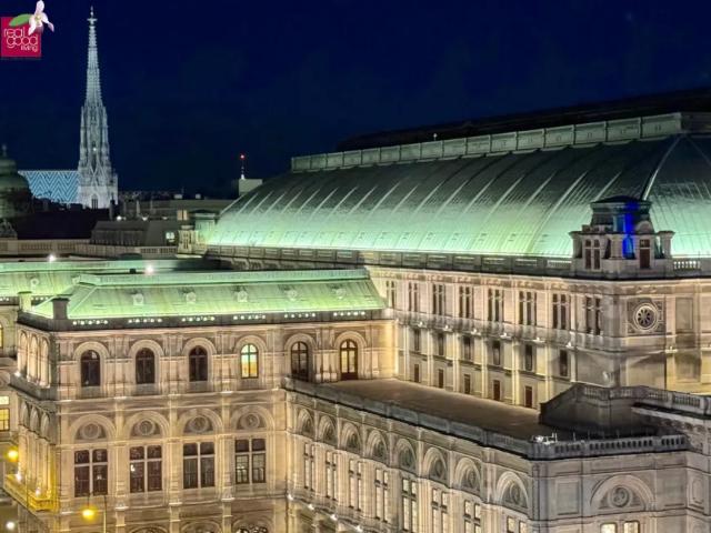 Wohnung kaufen in Innere Stadt, Wien