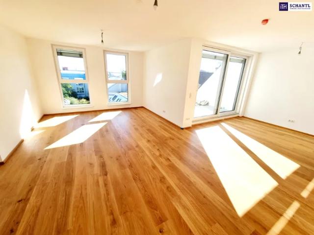 Wohnung kaufen in Donaustadt, Wien