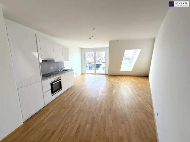 Wohnung kaufen in Donaustadt, Wien