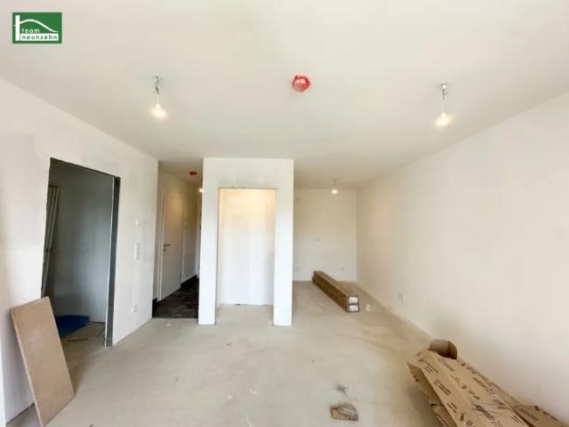 Wohnung kaufen in Seestadt, Wien