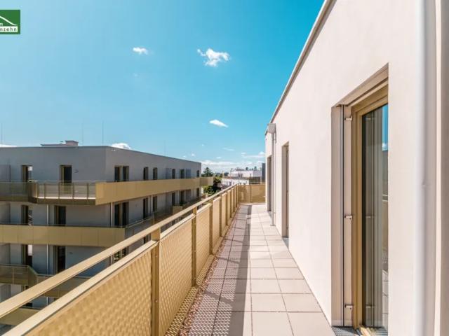 Wohnung kaufen in Seestadt, Wien