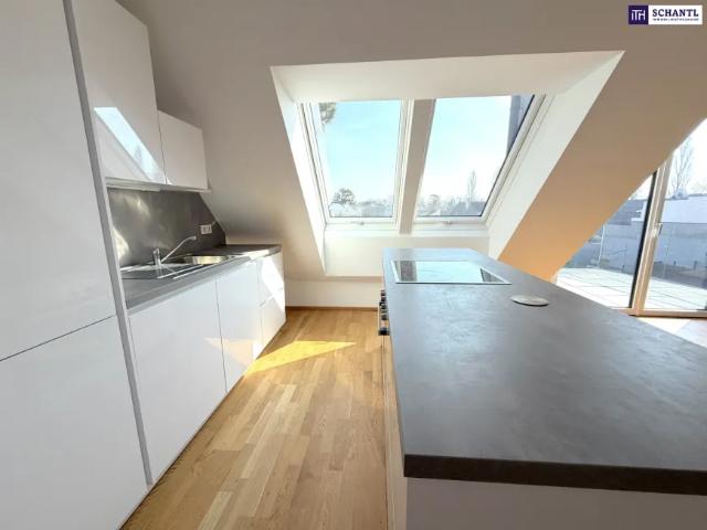 Wohnung kaufen in Donaustadt, Wien
