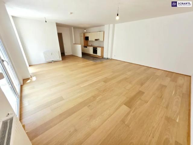 Wohnung kaufen in Donaustadt, Wien