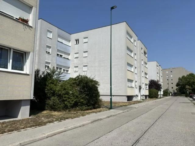 Wohnung kaufen in Wiener Neudorf, Niederösterreich