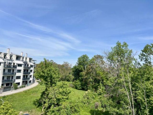 Wohnung kaufen in Wiener Neustadt, Niederösterreich