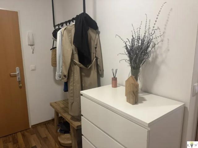 Wohnung mieten in Andau, Burgenland