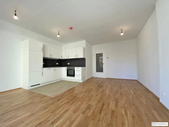 Wohnung mieten in Bad Vöslau, Niederösterreich