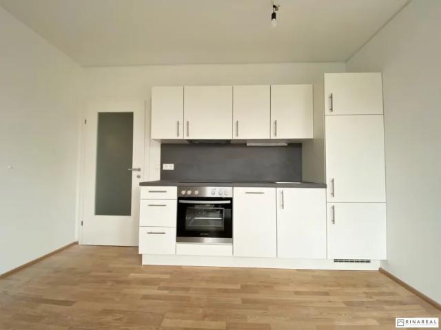 Wohnung mieten in Bad Vöslau, Niederösterreich
