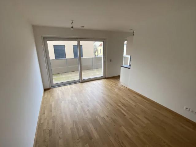 Wohnung mieten in Bisamberg