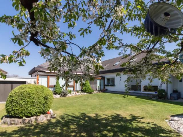 Wohnung mieten in Deutschkreutz, Burgenland
