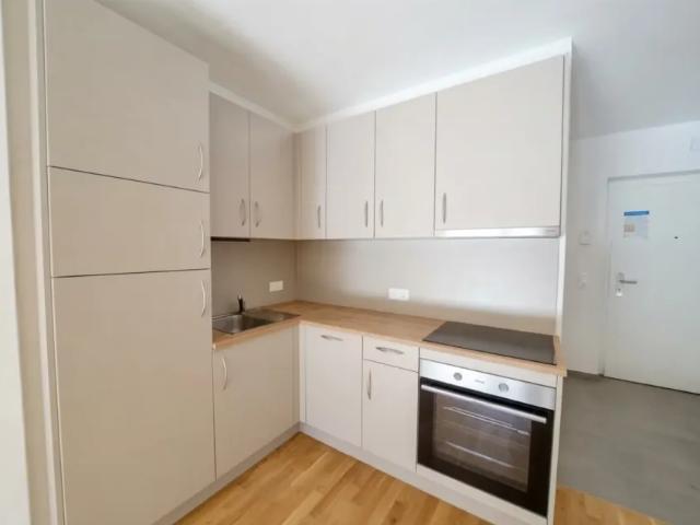 Wohnung mieten in Gösting, Graz