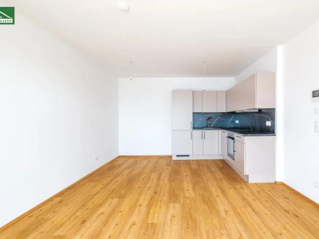 Wohnung mieten in Katastralgemeinde Graz Stadt-St. Veit ob Graz, Graz