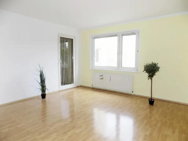 Wohnung mieten in Groß-Enzersdorf, Niederösterreich