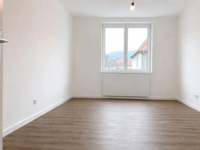 Wohnung mieten in Katastralgemeinde Hainburg an der Donau, Hainburg an der Donau