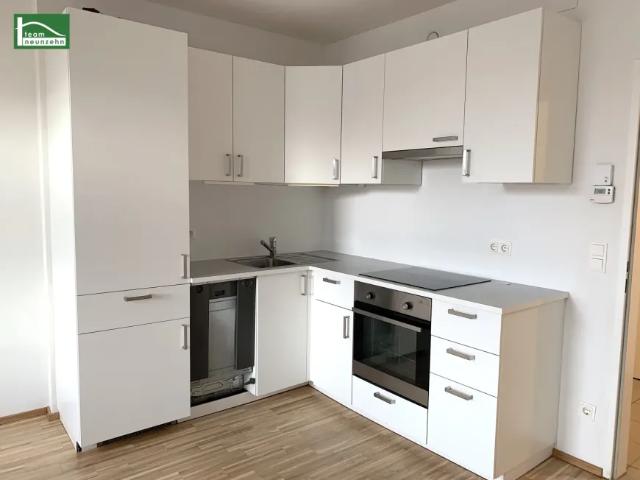 Wohnung mieten in Katastralgemeinde Himberg, Himberg