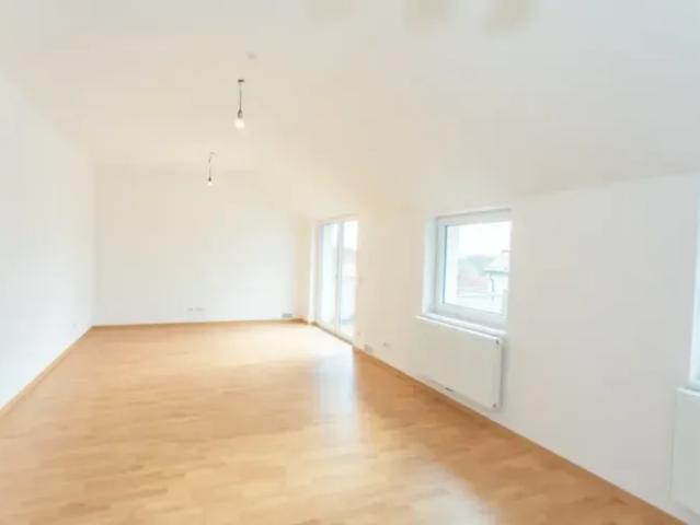 Wohnung mieten in Hofamt Priel, Niederösterreich