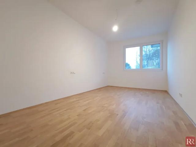 Wohnung mieten in Klosterneuburg, Niederösterreich