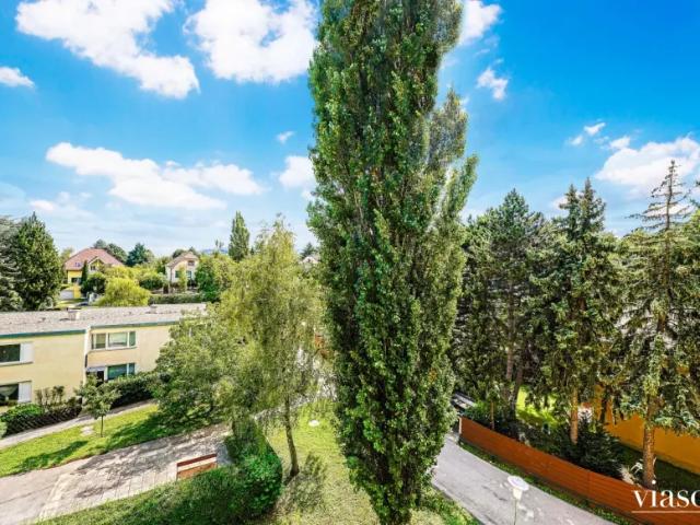 Wohnung mieten in Klosterneuburg, Niederösterreich