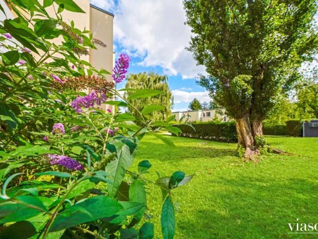 Wohnung mieten in Klosterneuburg, Niederösterreich