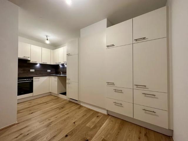 Wohnung mieten in Kottingbrunn, Niederösterreich
