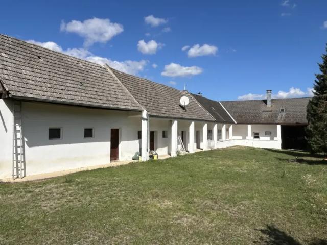 Wohnung mieten in Kroatisch Minihof/Mjenovo, Nikitsch