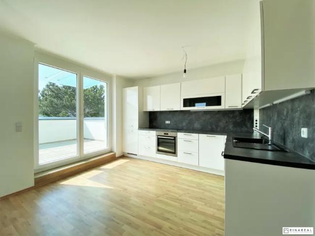 Wohnung mieten in Mödling, Niederösterreich