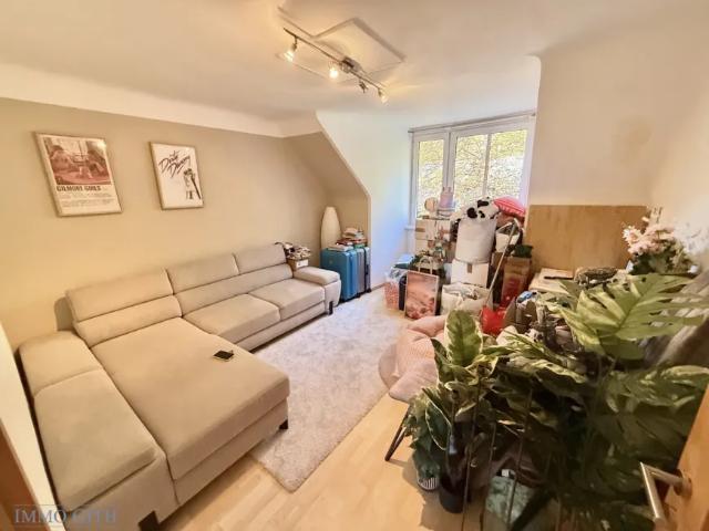 Wohnung mieten in Mödling, Bezirk Mödling
