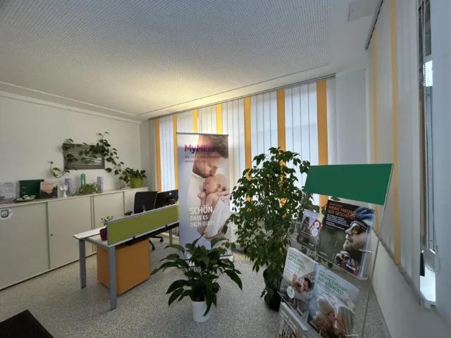 Wohnung mieten in Oberpullendorf, Burgenland