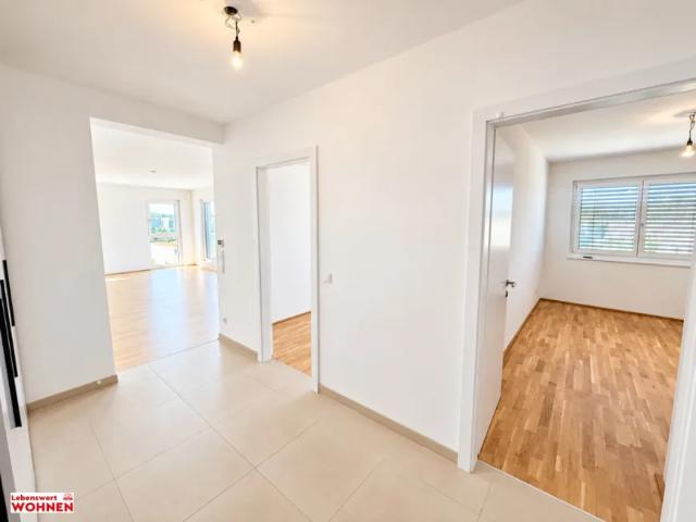 Wohnung mieten in Oberwaltersdorf, Niederösterreich