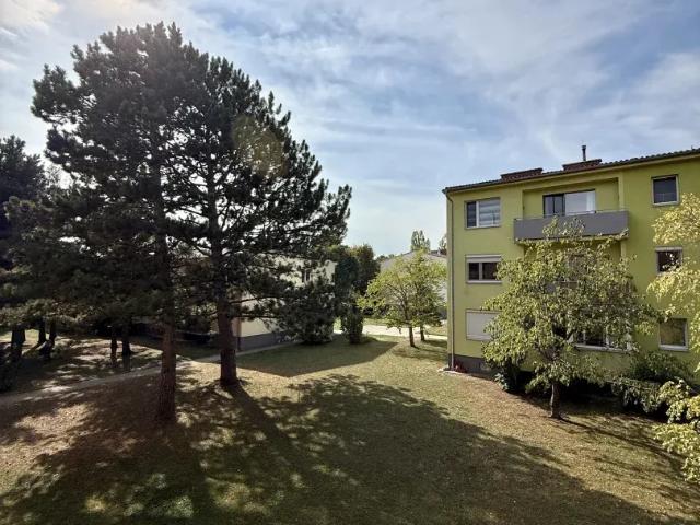 Wohnung mieten in KGV Perchtoldsdorf, Perchtoldsdorf