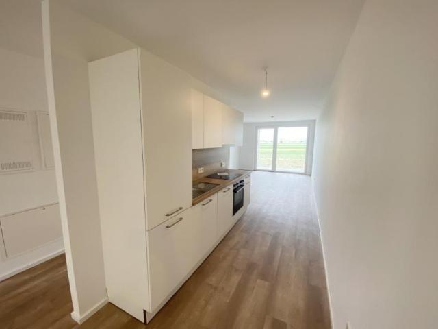 Wohnung mieten in Pixendorf, Michelhausen