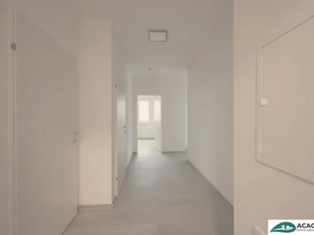 Wohnung mieten in Michelhausen, Niederösterreich